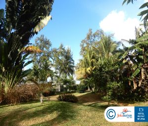 Poze Solana Beach 21