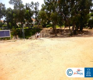 Poze Sunrise Jade 11