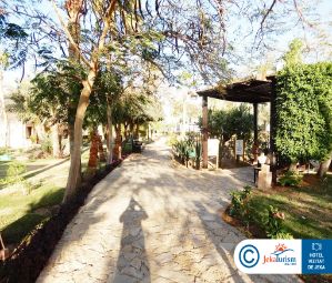 Poze TAMRA BEACH SHARM 9