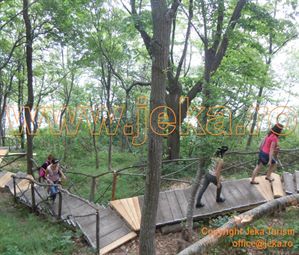 Poze THE CLIFF AND SPA 13