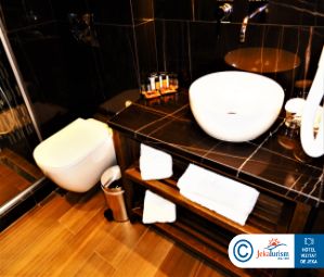 Poze THEARTEMIS PALACE 10