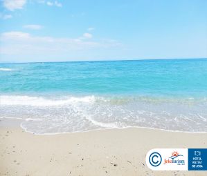 Poze THEARTEMIS PALACE 21