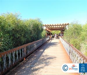 Poze TITANIC DELUXE BELEK 12