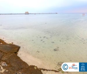 Poze Tui Magic Life Redsina 15