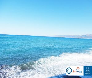 Poze VASIA BOULEVARD 11