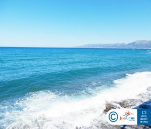 Poze VASIA BOULEVARD 12