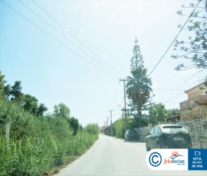 Poze WHITE OLIVE ELITE LAGANAS 13