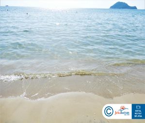 Poze WHITE OLIVE PREMIUM CAMEO 12