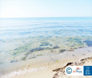 Poze ZORNITZA SANDS 10