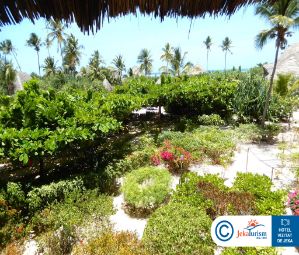 Poze Zanzibar Queen 10