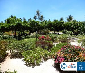 Poze Zanzibar Queen 6