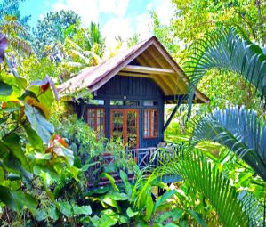 Adult Only Negril 2026