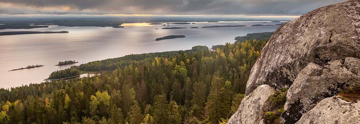 Tarjoilija, Koli