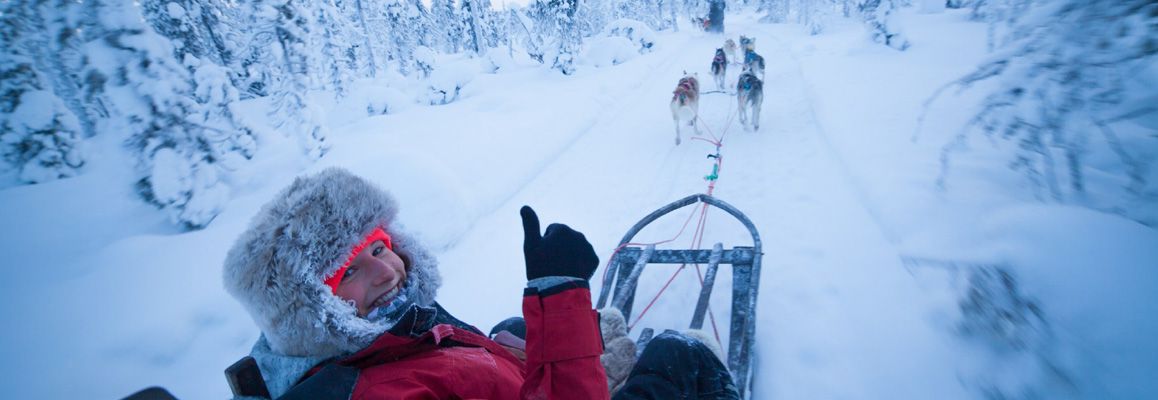 Talousasiantuntija, Harriniva Hotels & Safaris, Muonio
