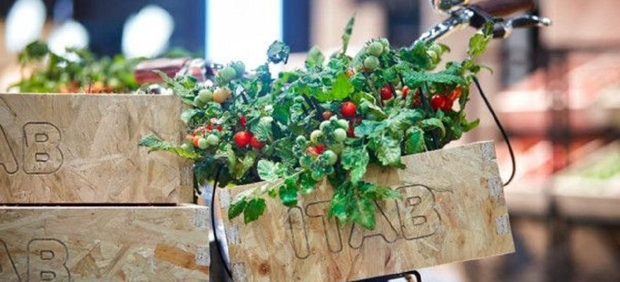 Laatu- ja kestävän kehityksen päällikkö, ITAB Finland Oy