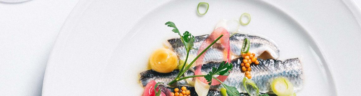 Kokki, Maxill Helsinki