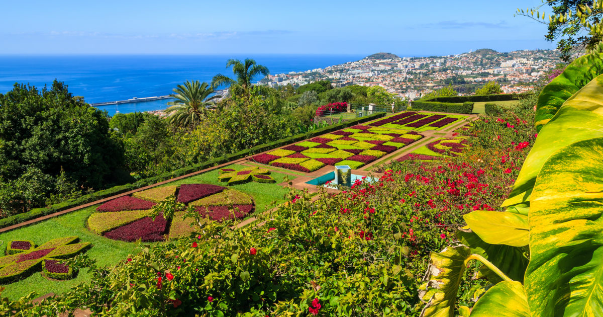 top-things-to-do-in-funchal-jet2blog