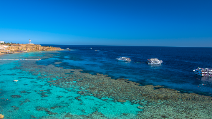 Screenshot 2025 11 28 131006