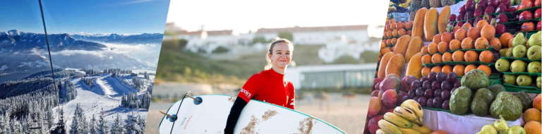 Lou authorship banner