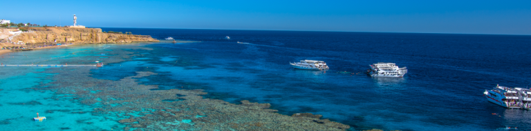 Screenshot 2025 11 28 131006