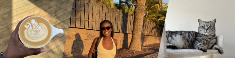 Steph authorship banner