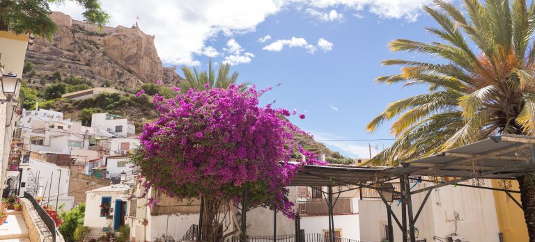 Alicante Barrio Santa Cruz2