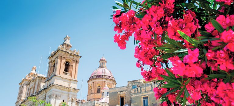 MLA 131 BIRGU 0714 26 RGB 136 DPI For Web