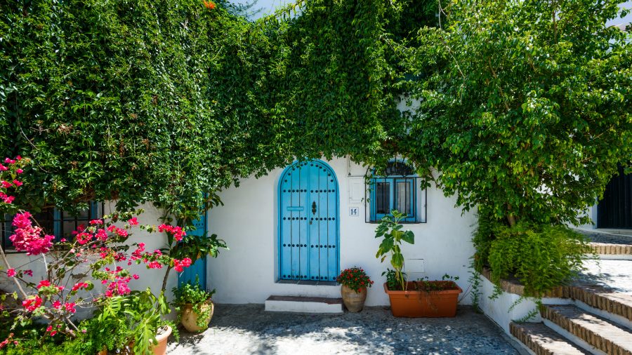 002 01003 180616 0025 Frigiliana 2
