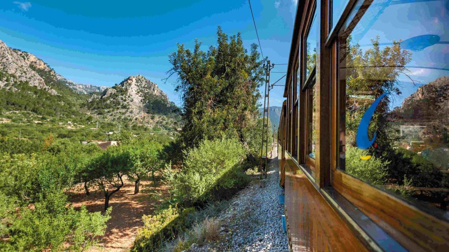 242925 pmi soller palma train 0117 02 fpo