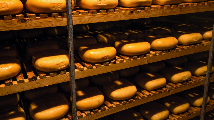 251525 mah menorca cheese museum 0117 08