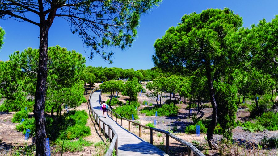 314676 fao los enebrales natural park 0613 27