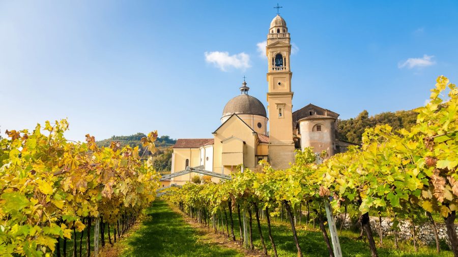 702247 vrn valpolicella vineyards 692503474 getty 2048x2048