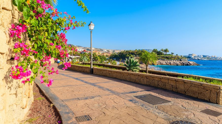 795723 tfs costa adeje promenade 692429062 getty Web