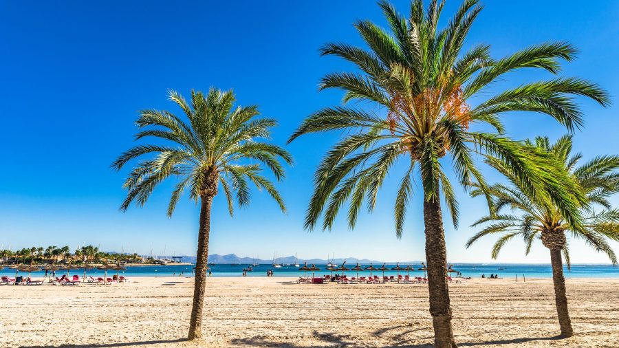 799575 pmi bay of alcudia 960932218 getty 2048x2048