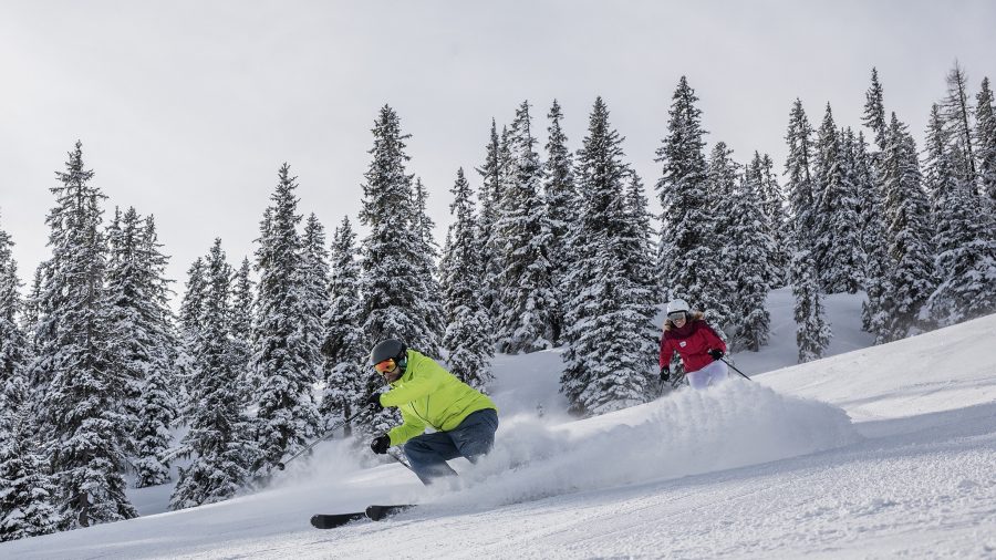 926628 sgz rs2604 2018 02 05 slt skishooting by michael groessinger 1150 tb supplied nov22 Web
