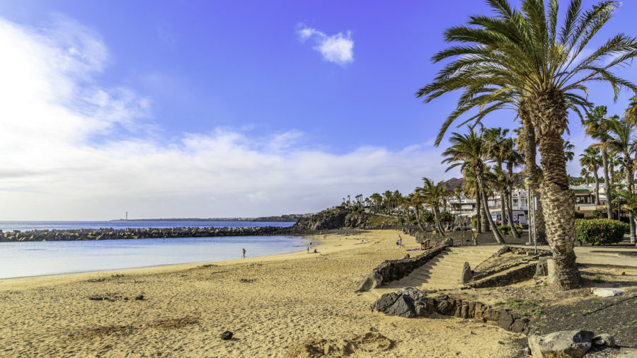 ACE_Flamingo_bch_543806904_RFIS_0318
