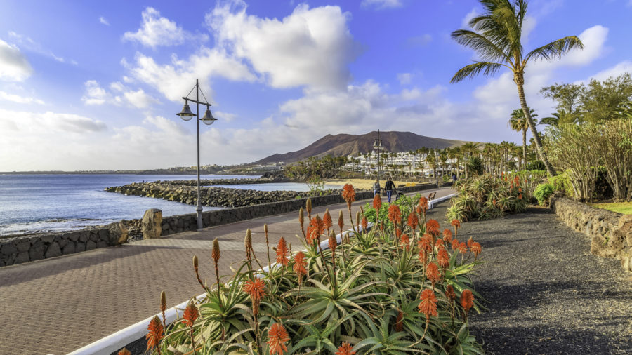 ACE_Playa_Blanca_543807104_RFIS_0318