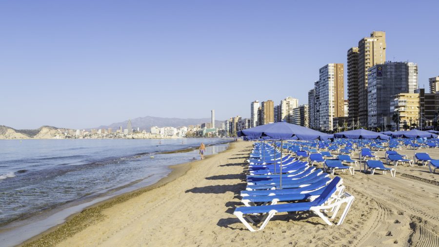 Alc Levante 0117 06