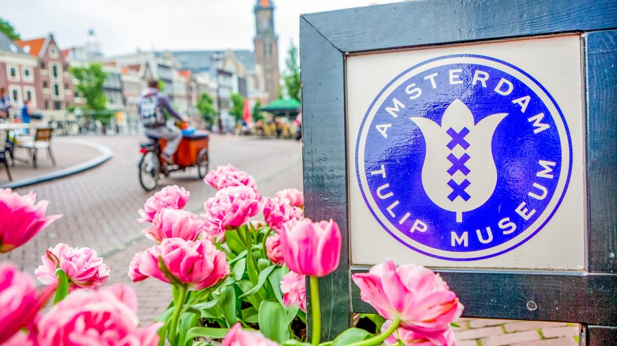 Ams Amsterdam Tulip Museum 0716 03
