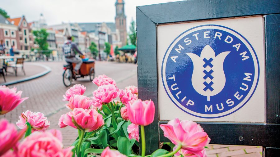 AMS Amsterdam Tulip Museum 0716 03 RGB 136 DPI For Web