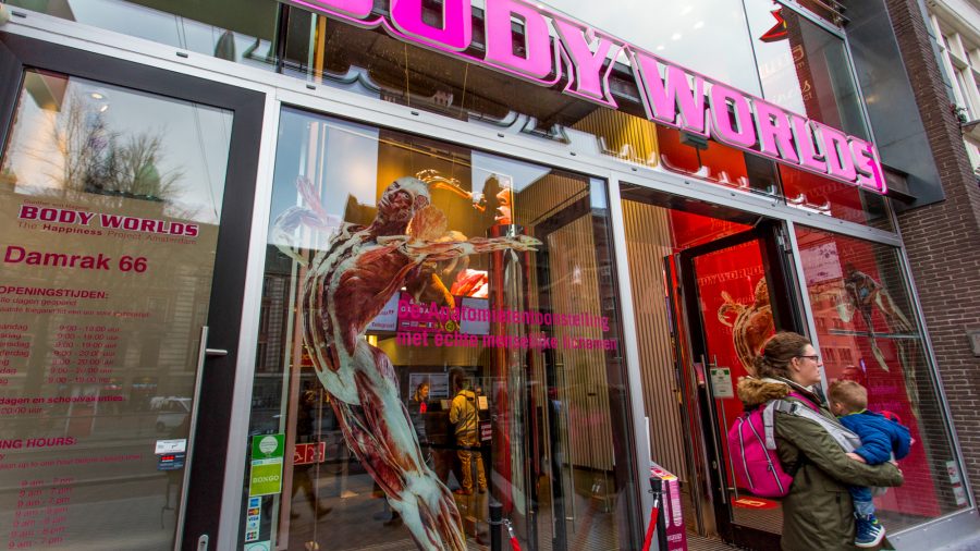 Ams Bodyworlds 0716 04