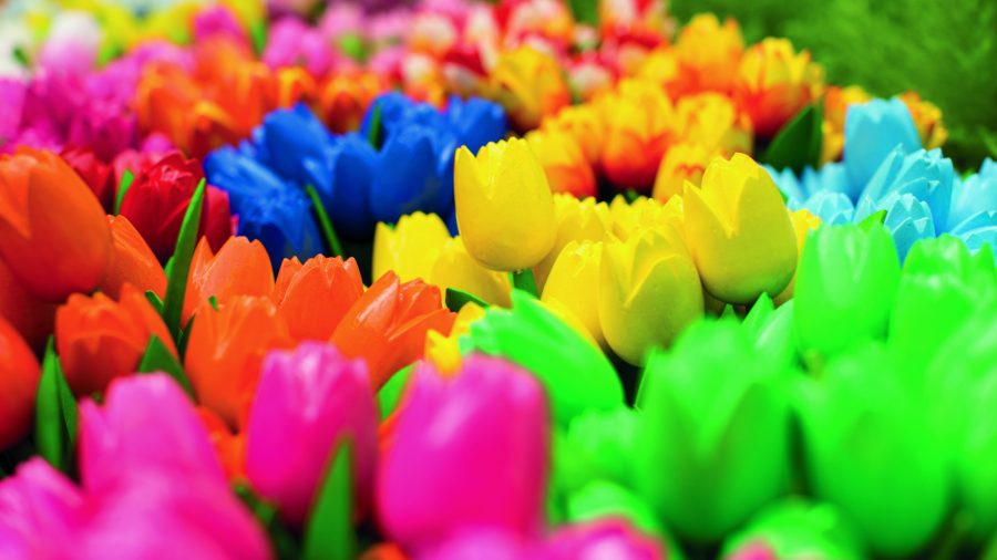 Ams Flower Market 0716 02
