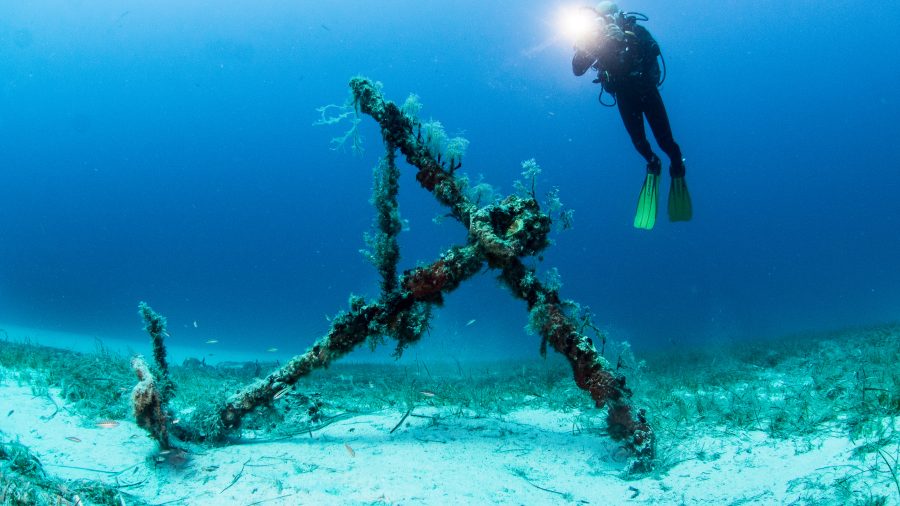 Anchor and diver Photo by Pete Bullen