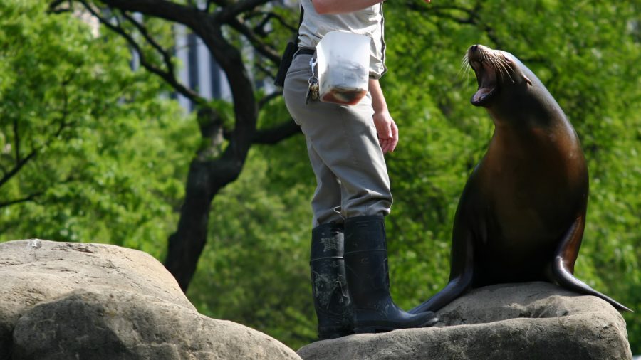 Ewr Central Park Zoo 184112849 Rfis 0217