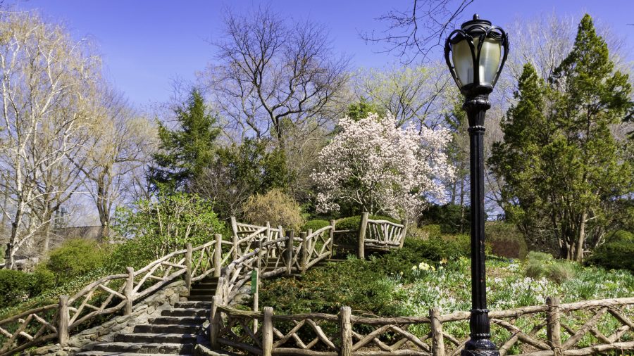Ewr Shakespeare Garden 467105147 Rfis 1218