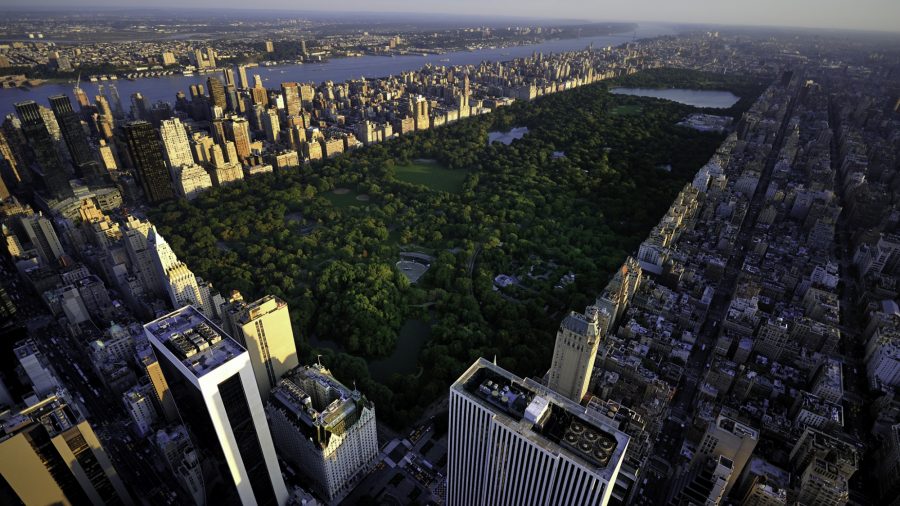 Ewr_Central_Park_528609207_Rfis_0217