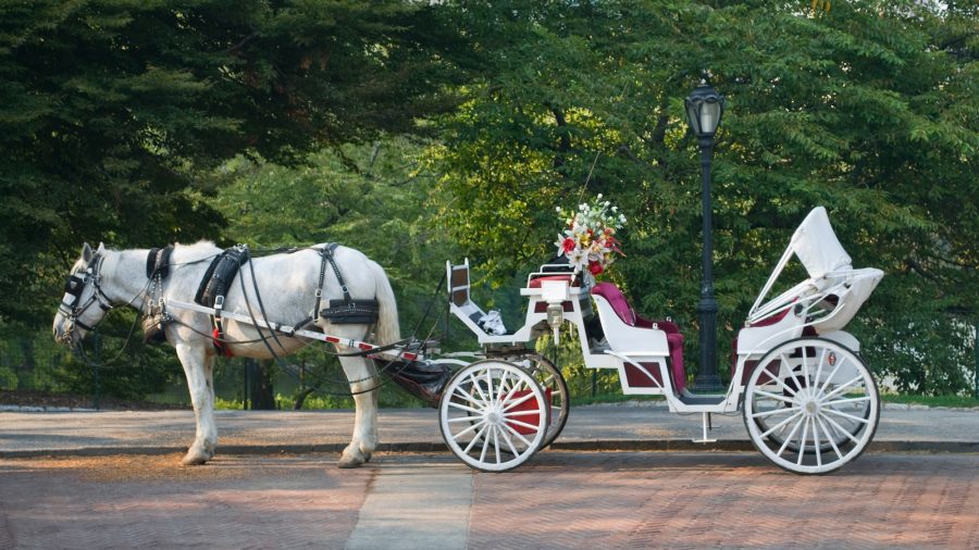Ewr Horse And Carraige Central Park 152119952 Rfis 0217
