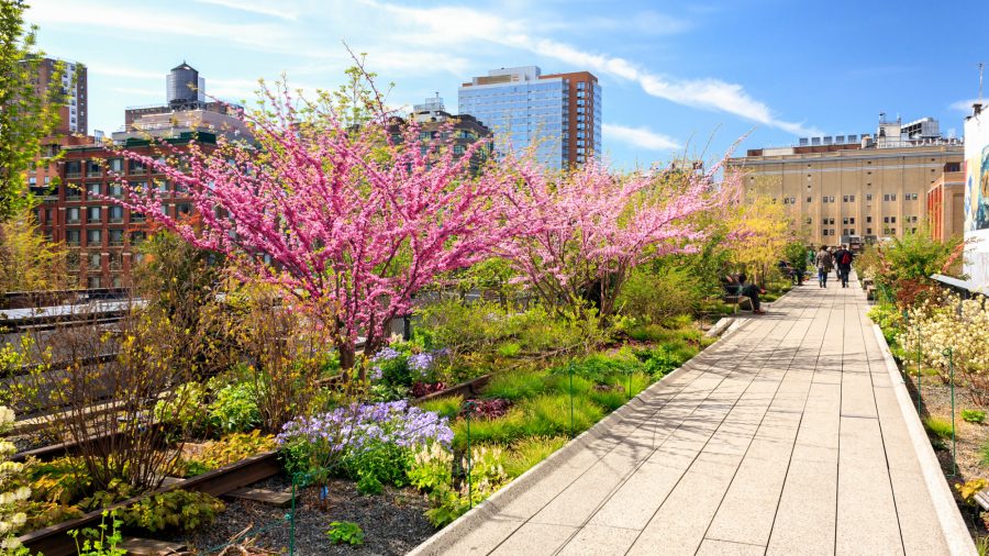 Ewr The High Line 1016 Rfis 01