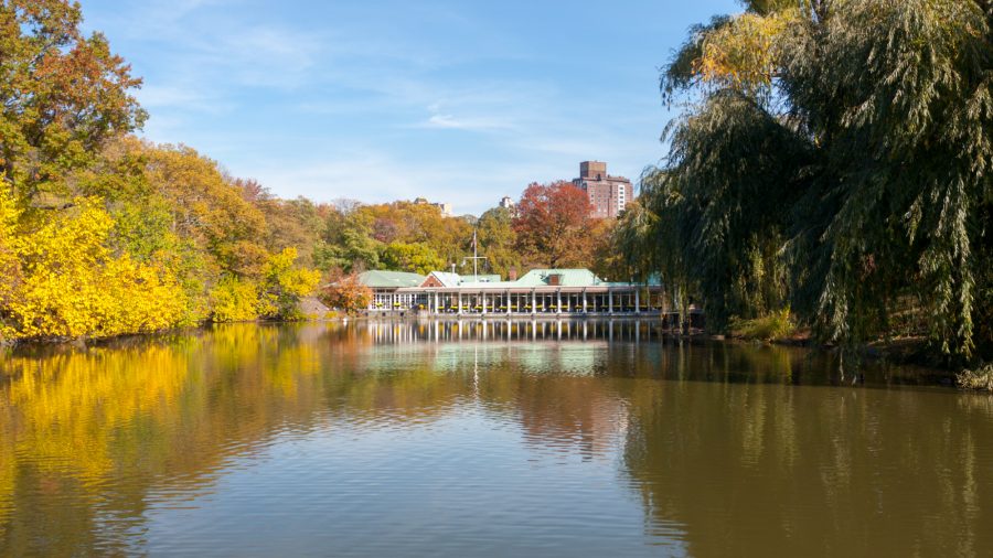 Ewr The Boathouse 524880249 Rfis 0217