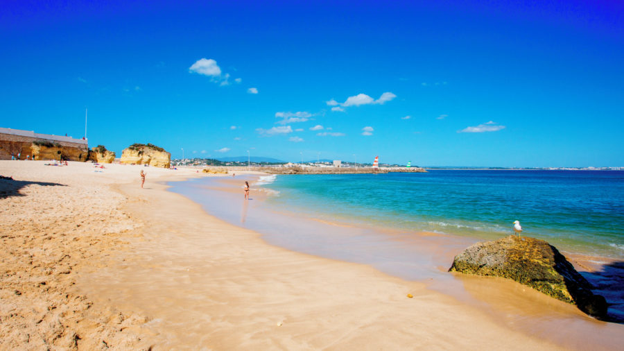 FAO Praia do Canavial 0515 01 RGB 136 DPI For Web